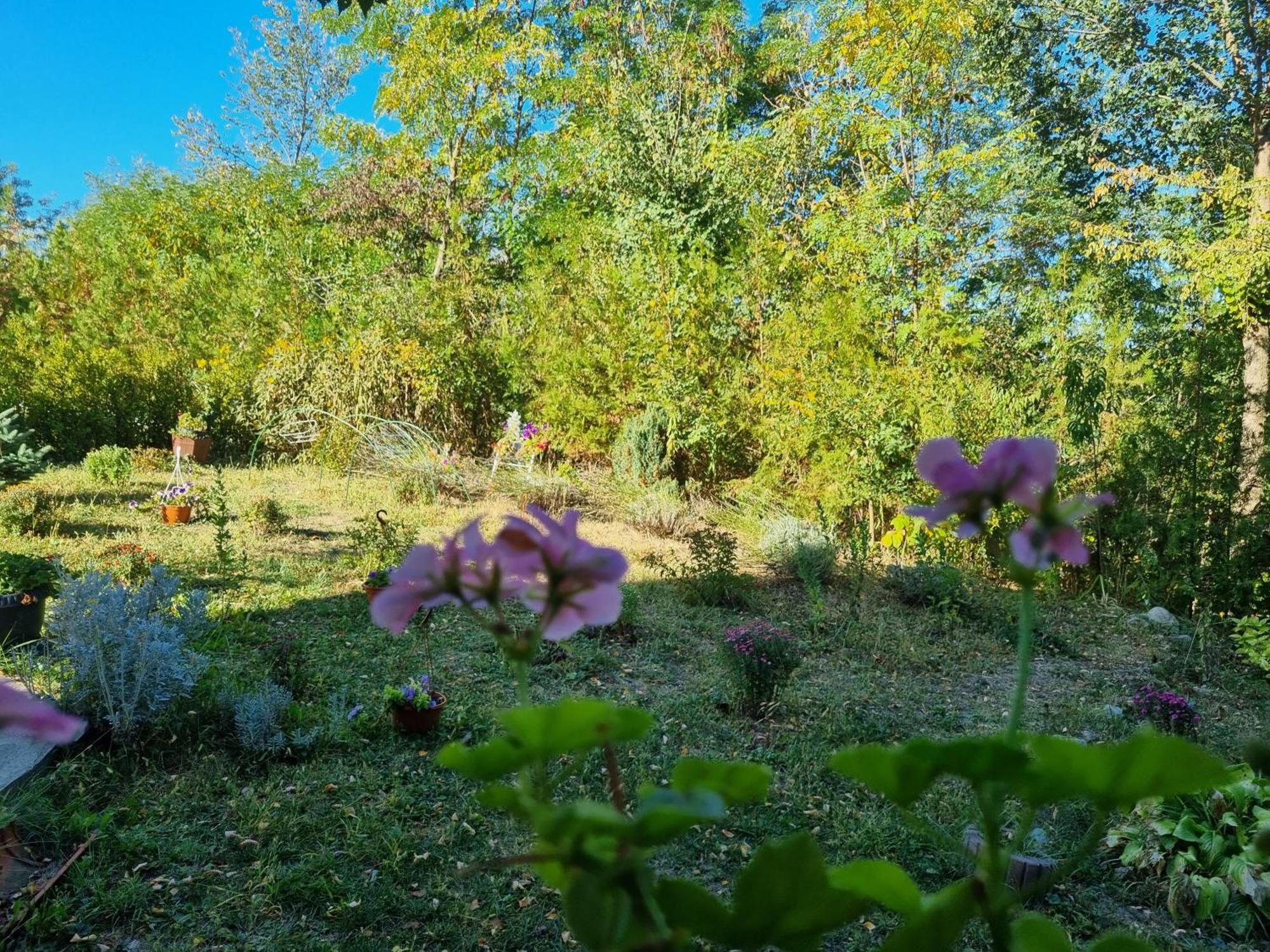 Pensiunea Agroturistica Diana Magura  Dış mekan fotoğraf