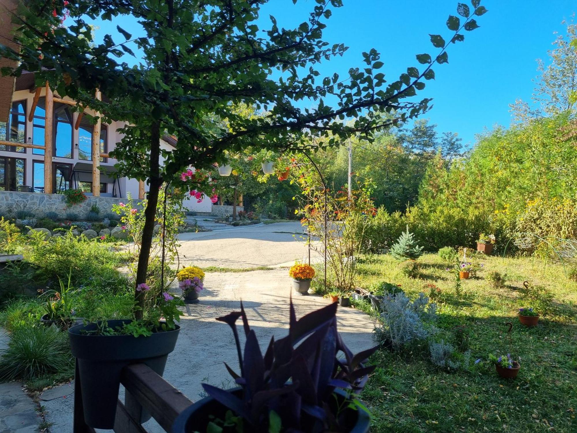 Pensiunea Agroturistica Diana Magura  Dış mekan fotoğraf