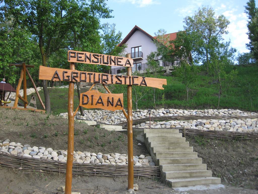 Pensiunea Agroturistica Diana Magura  Dış mekan fotoğraf