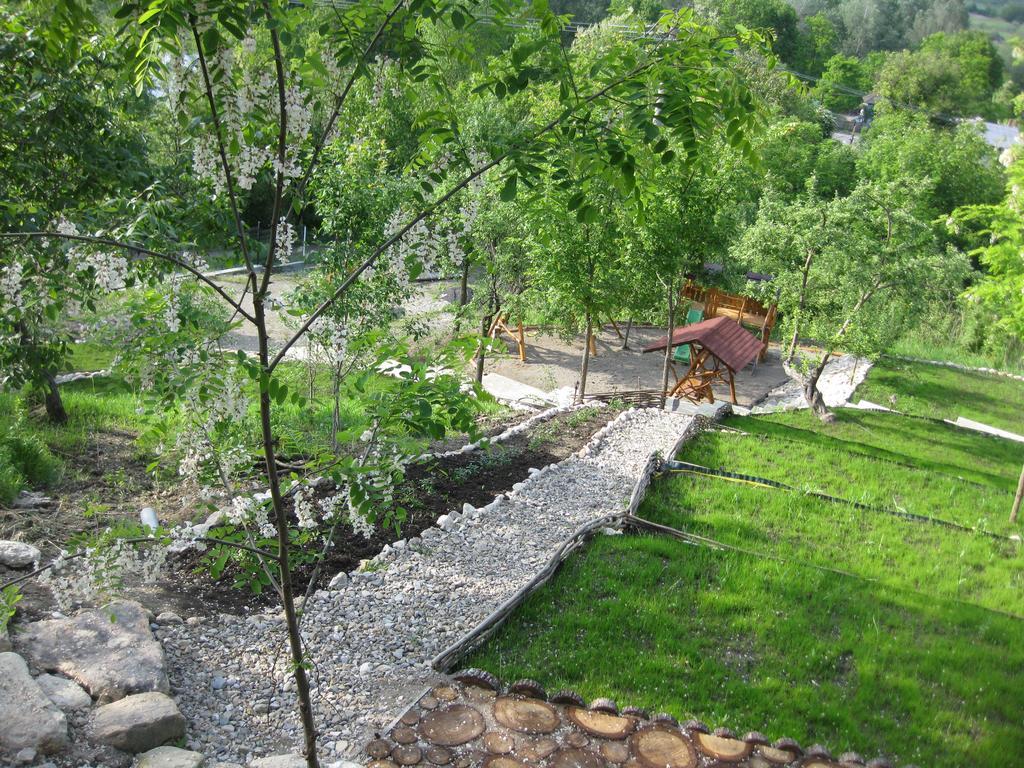Pensiunea Agroturistica Diana Magura  Dış mekan fotoğraf