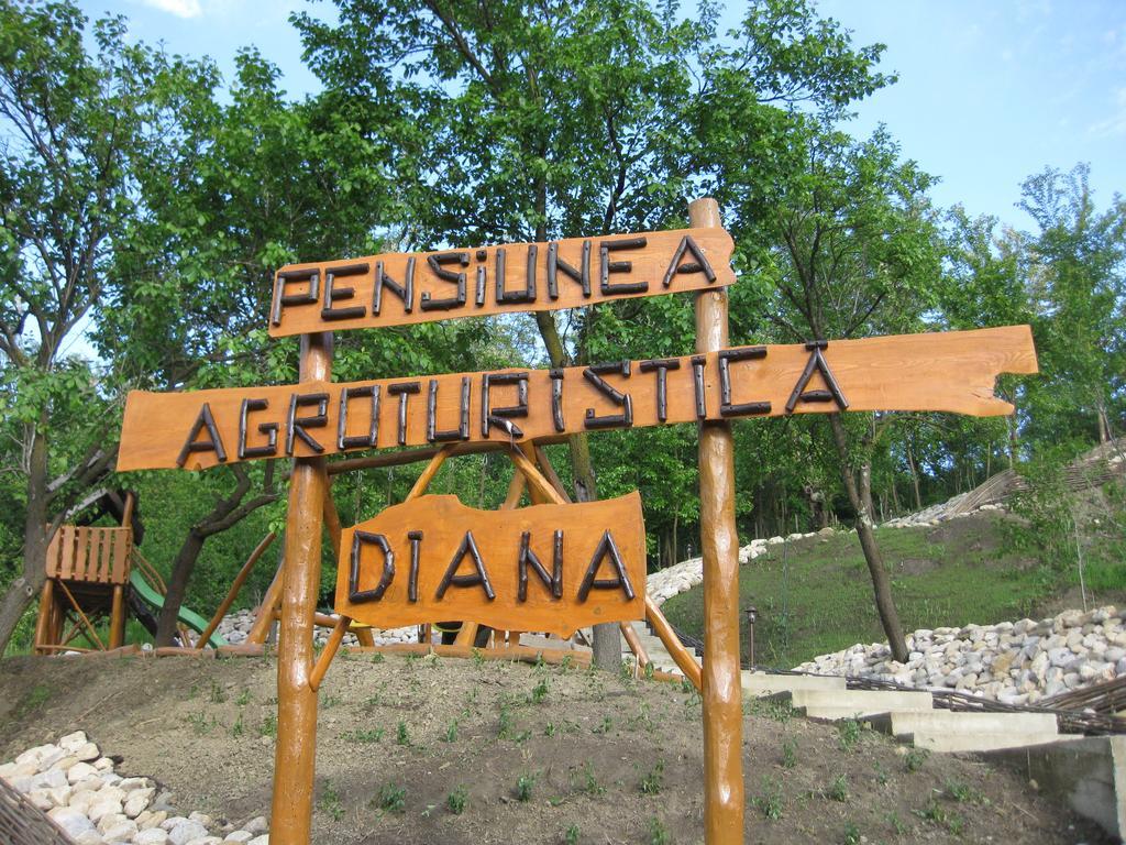 Pensiunea Agroturistica Diana Magura  Dış mekan fotoğraf